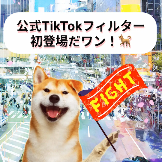 渋谷区公式が贈る！TikTokで楽しむ新生活応援ARフィルター「Shibuya Hachi」